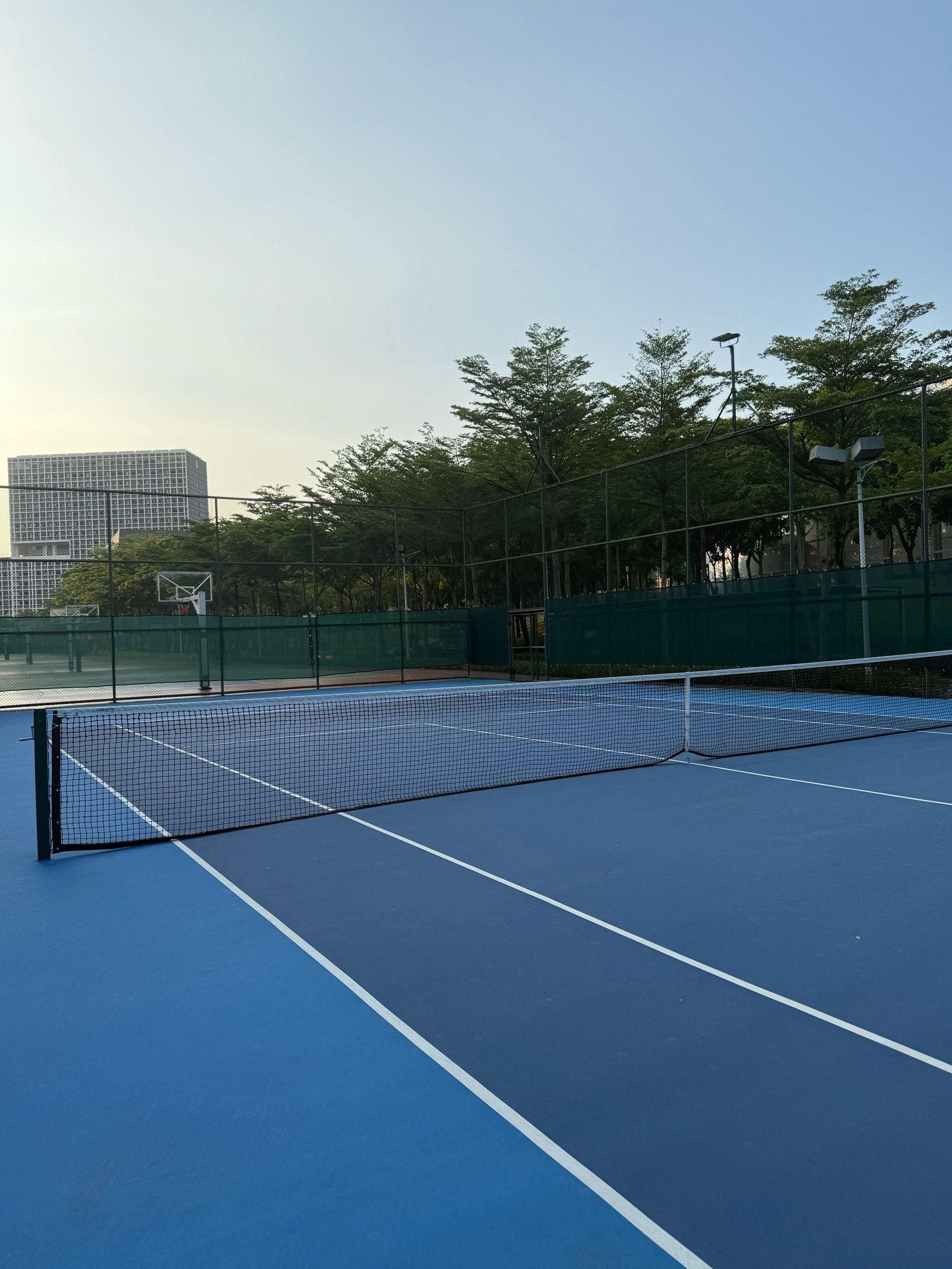 势和坚韧的 势和坚韧的